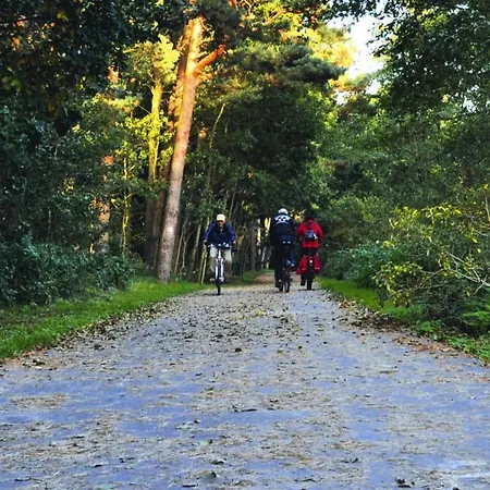 Comfortable Homes Close To The *